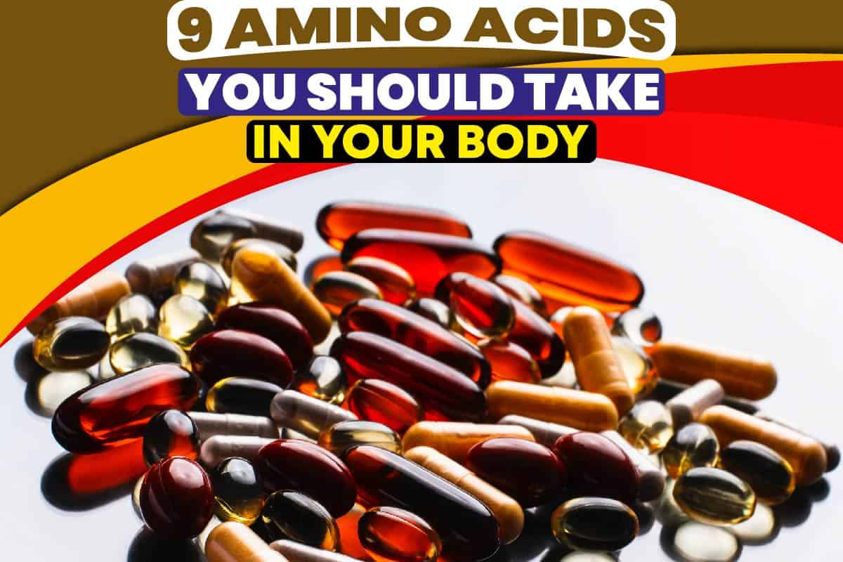 What Amino Acids Should I Take To Build Muscle