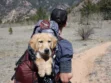 How To Travel Safely With Your Dog  