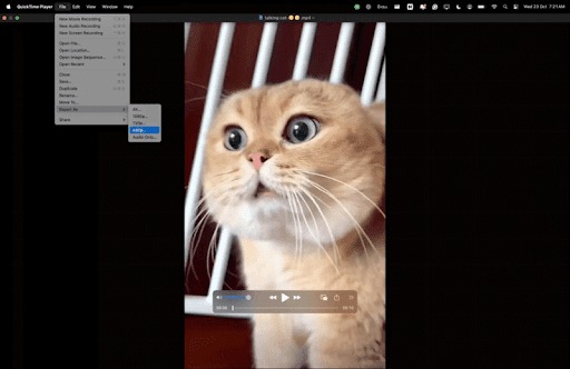 Compress Video On Mac